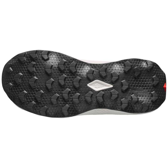 Salomon Ultra Flow 2 GTX W